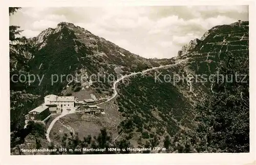 AK / Ansichtskarte Herzogstandhaus Martinskopf Herzogstand Kat. Kochel a.See