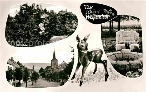 AK / Ansichtskarte Weissenstadt Waldstein Egerquelle  Kat. Weissenstadt