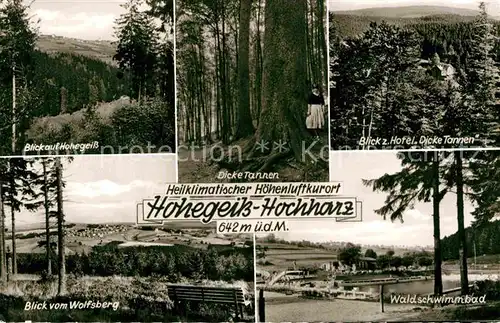 AK / Ansichtskarte Hohegeiss Harz Wolfsberg Waldschwimmbad Hotel Dicke Tannen Kat. Braunlage