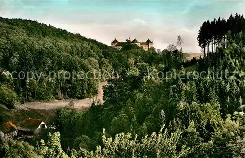 AK / Ansichtskarte Alttann Allgaeu Blick auf Schloss Wolfegg Kat. Wolfegg