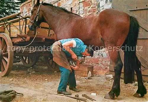 AK / Ansichtskarte Hahndorf South Australia Shoeing Horse Blacksmith shop