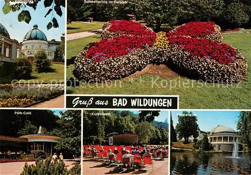AK / Ansichtskarte Bad Wildungen Park Cafe Konzert  Kat. Bad Wildungen