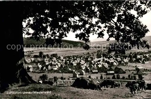 AK / Ansichtskarte Unnau Westerwald  Kat. Unnau