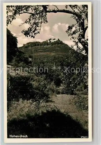 AK / Ansichtskarte Bad Urach Ruine Hohenurach  Kat. Bad Urach