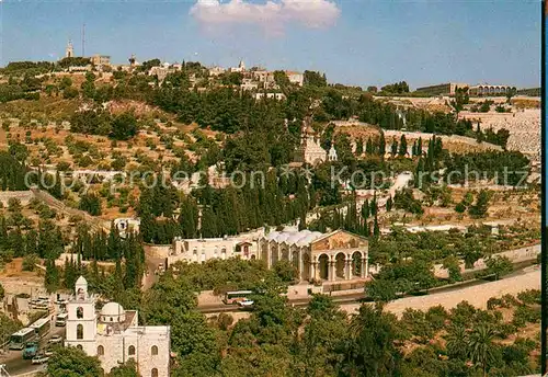 AK / Ansichtskarte Jerusalem Yerushalayim Garden of Gethsemane Kat. Israel