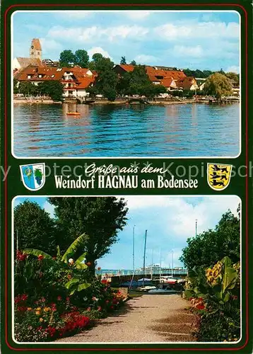 AK / Ansichtskarte Hagnau Bodensee Panorama Hafen Kat. Hagnau am Bodensee