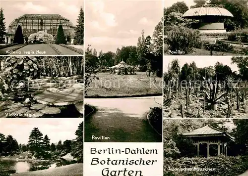 AK / Ansichtskarte Dahlem Berlin Botanischer Garten Victoria regia Japanisches Haeuschen  Kat. Berlin