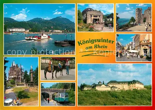 AK / Ansichtskarte Koenigswinter Schloss Pferd Eisenbahn Kat. Koenigswinter