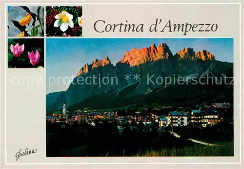 AK / Ansichtskarte Cortina d Ampezzo Pomagagnon Kat. Cortina d Ampezzo