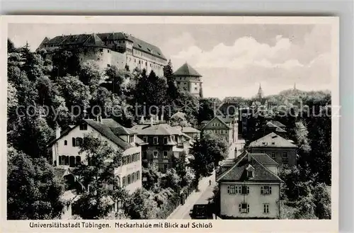 AK / Ansichtskarte Tuebingen Neckarhalde mit Blick zum Schloss Kat. Tuebingen