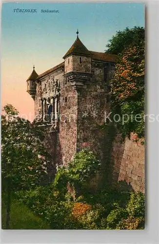 AK / Ansichtskarte Tuebingen Neckar Schloss Eingang