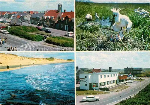 AK / Ansichtskarte Callantsoog Dorfansicht Hotel Restaurant Strand Kueste Voegel Kat. Niederlande