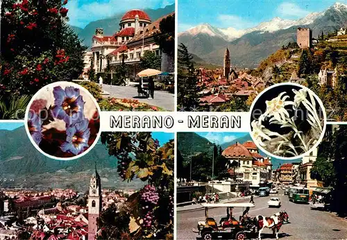 AK / Ansichtskarte Meran Merano Visioni panoramiche Ortsansichten Kirche Burgruine Texelgruppe Alpenflora