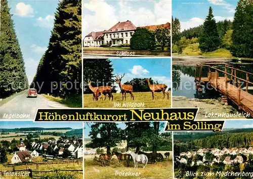 AK / Ansichtskarte Neuhaus Solling Kegelbahn Schloss Wildpark Hirsch Rehe Lakenhausteich Maedchenberg Trakehner Pferde Kat. Holzminden