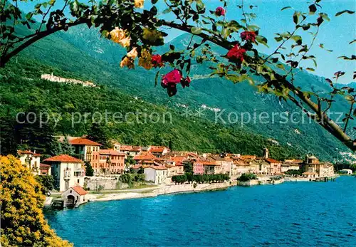 AK / Ansichtskarte Cannobio Lago Maggiore Seeufer Kat. Italien