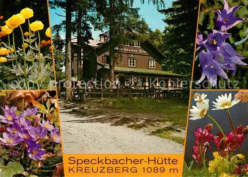 AK / Ansichtskarte Breitenstein Niederoesterreich Speckbacher Huette Kreuzberg Kat. Breitenstein Semmering