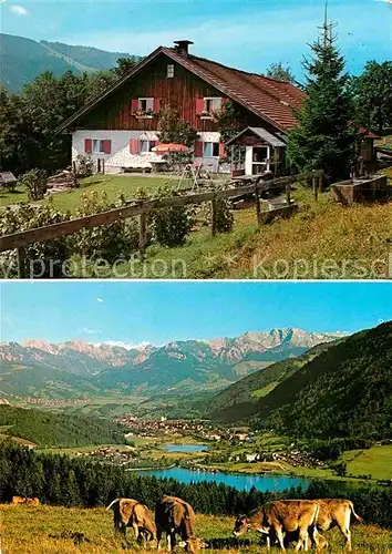 AK / Ansichtskarte Buehl Alpsee Alpe Schoenesreut Kat. Immenstadt i.Allgaeu