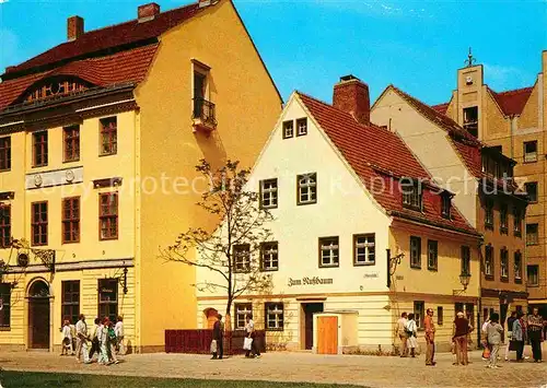 AK / Ansichtskarte Berlin Gasthaus zum Nussbaum Nikolaiviertel Kat. Berlin