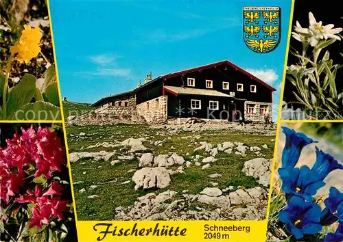 AK / Ansichtskarte Puchberg Schneeberg Fischerhuette Enzian Edelweiss Azalee Kat. Puchberg am Schneeberg