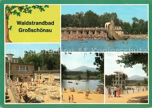 AK / Ansichtskarte Grossschoenau Sachsen Waldstrandbad Kat. Grossschoenau Sachsen