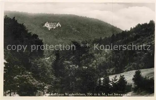 AK / Ansichtskarte Wiedenfelsen Kurhaus Kat. Buehlertal