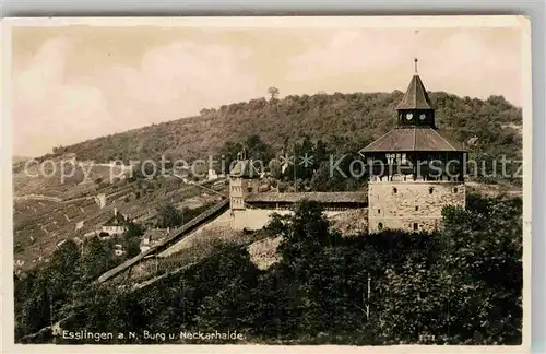 AK / Ansichtskarte Esslingen Neckar Burg Neckarhalde Kat. Esslingen am Neckar