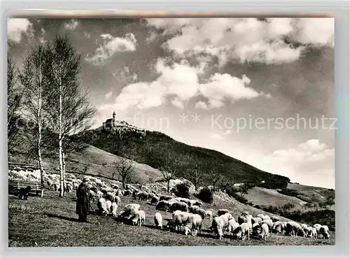 AK / Ansichtskarte Owen Esslingen Burg Teck Schafherde Kat. Owen