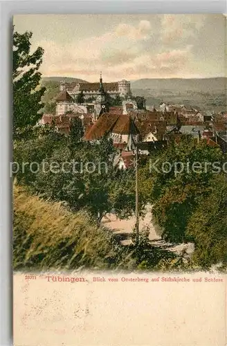 AK / Ansichtskarte Tuebingen Neckar Osterberg Stiftskirche Schloss