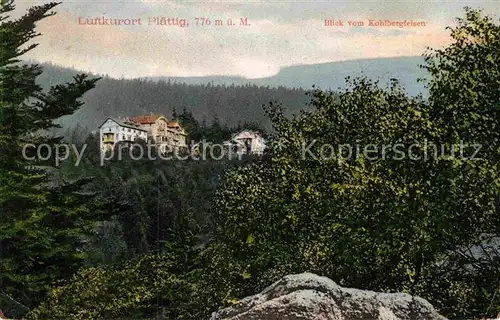 AK / Ansichtskarte Plaettig Blick vom Kohlbergfelsen Kat. Baden Baden