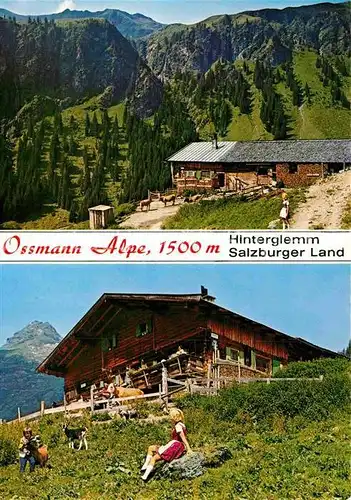 AK / Ansichtskarte Hinterglemm Saalbach Ossmann Alpe