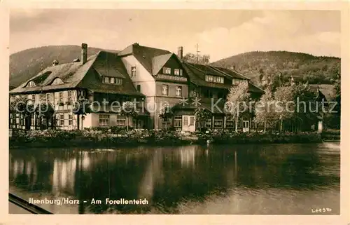 AK / Ansichtskarte Ilsenburg Harz Forellenteich Gasthaus Zu den roten Forellen Kat. Ilsenburg Harz