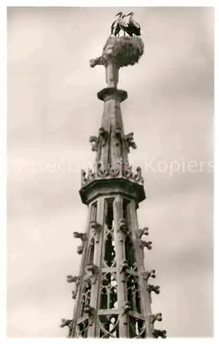 AK / Ansichtskarte Buehl Baden Kirchturm mit Storchennest Kat. Buehl