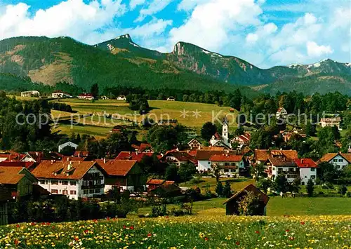 AK / Ansichtskarte Bad Kohlgrub Blickzu dem Ammergauer Alpen Kat. Bad Kohlgrub