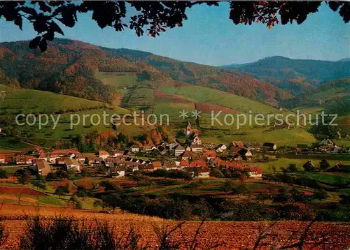 AK / Ansichtskarte Schuttertal Panorama  Kat. Schuttertal Schwarzwald