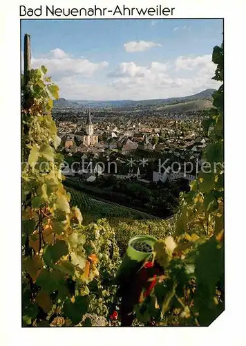 AK / Ansichtskarte Ahrweiler Ahr Panorama Weinort Weinreben Traubenlese Vollrath Karte Nr 2189 Kat. Bad Neuenahr Ahrweiler
