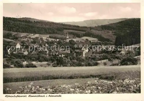 AK / Ansichtskarte Hammelbach Panorama Kat. Grasellenbach