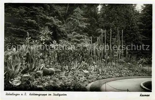 AK / Ansichtskarte ueberlingen Bodensee Kakteengruppe Stadtgarten Kat. ueberlingen