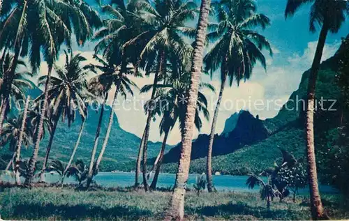 AK / Ansichtskarte Tahiti Polynesien Moorea Bay Kat. Ozeanien