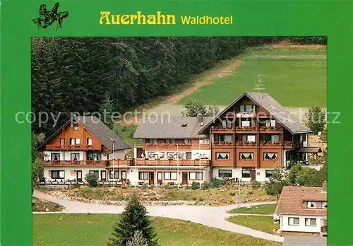 AK / Ansichtskarte Bubenbach Waldhotel Auerhahn  Kat. Eisenbach (Hochschwarzwald)