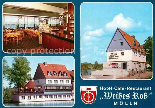 AK / Ansichtskarte Moelln Lauenburg Hotel Cafe  Restaurant Weisses Ross  Kat. Moelln