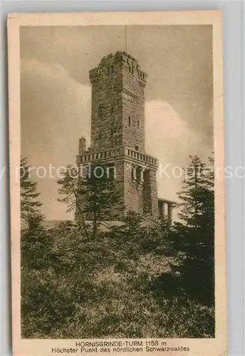 AK / Ansichtskarte Hornisgrinde Hornisgrindeturm Kat. Sasbach