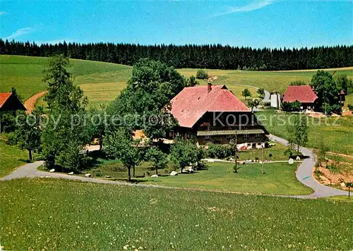 AK / Ansichtskarte Brigach Hirzbauernhof Brigachquelle Kat. St. Georgen im Schwarzw.