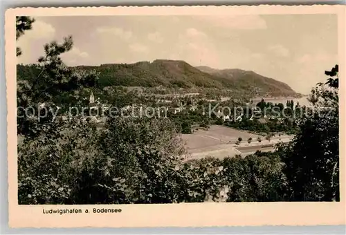 AK / Ansichtskarte Ludwigshafen Bodensee Panorama Kat. Bodman Ludwigshafen