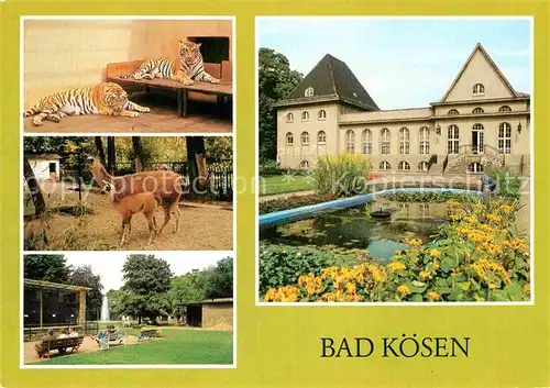 AK / Ansichtskarte Bad Koesen Tierpark Kat. Bad Koesen