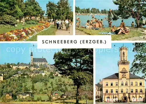 AK / Ansichtskarte Schneeberg Erzgebirge Filzteich Kirche Rathaus Kat. Schneeberg