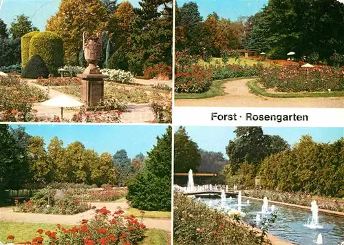 AK / Ansichtskarte Forst Lausitz Rosengarten Kat. Forst Lausitz