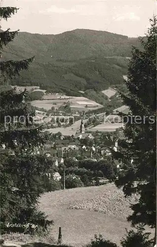 AK / Ansichtskarte Waldkirch Breisgau Teilansicht Kat. Waldkirch