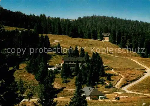 AK / Ansichtskarte Feldberg Schwarzwald Gasthaus Pension zum Auerhahn Kat. Feldberg (Schwarzwald)