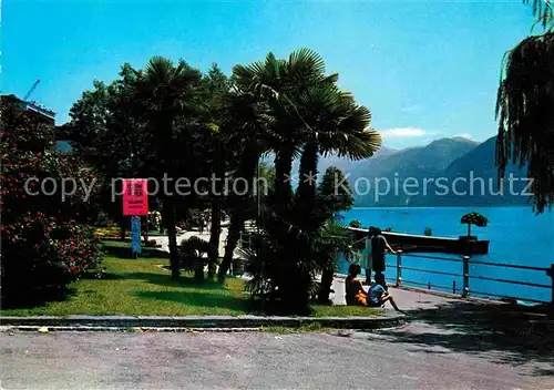 AK / Ansichtskarte Locarno Lago Maggiore Giardini Lungolago Uferpromenade Alpen