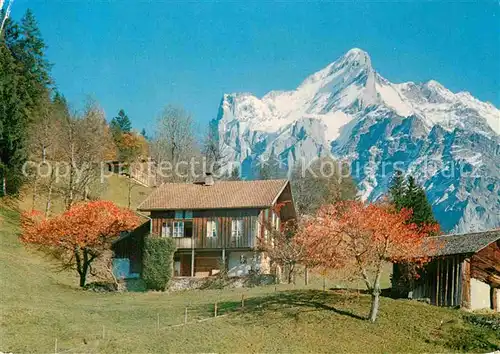 AK / Ansichtskarte Grindelwald Bergdorf im Herbst Alpenblick Kat. Grindelwald